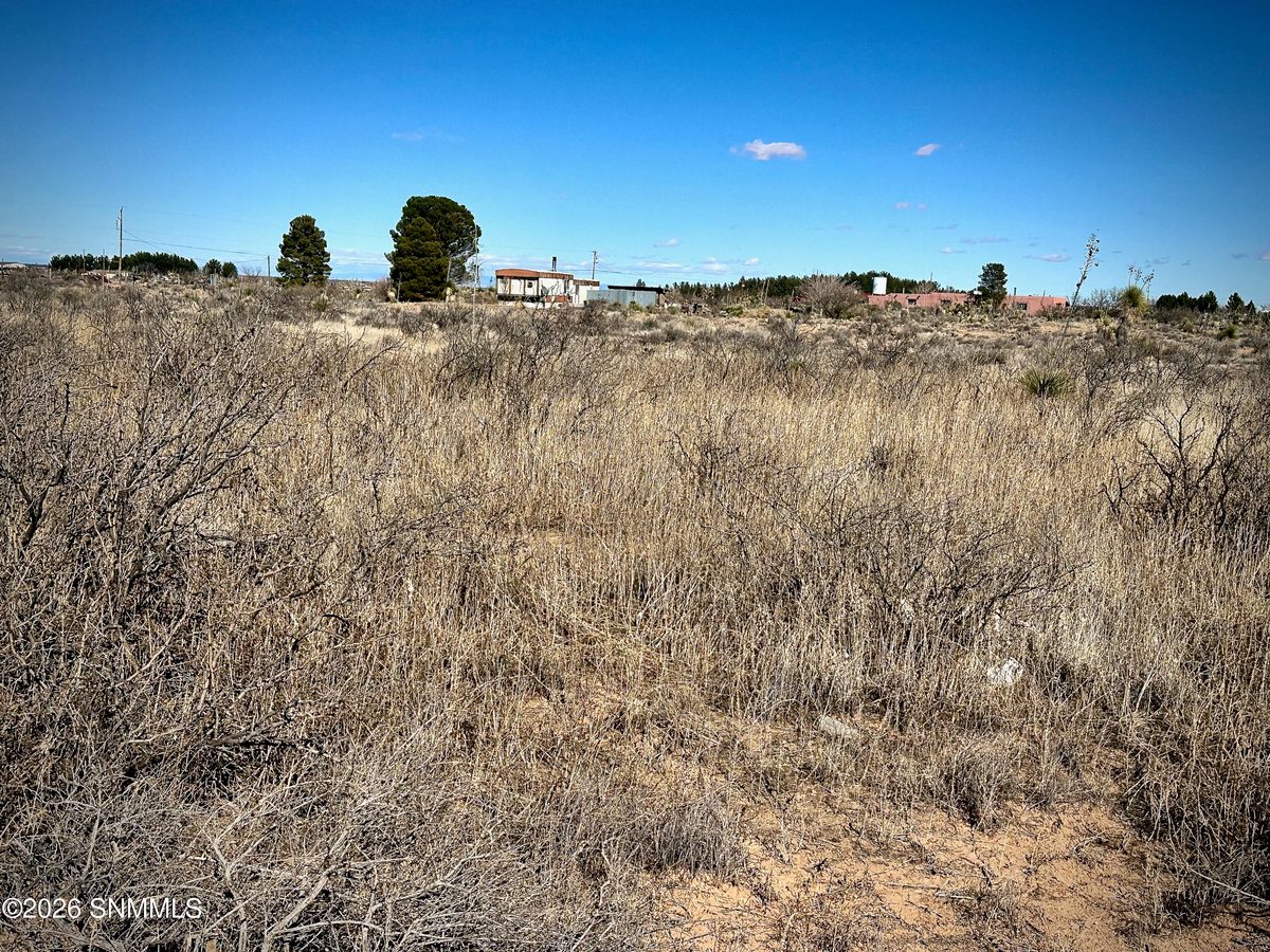 1052 Shiprock Road, Chaparral, NM 88081, foto 6