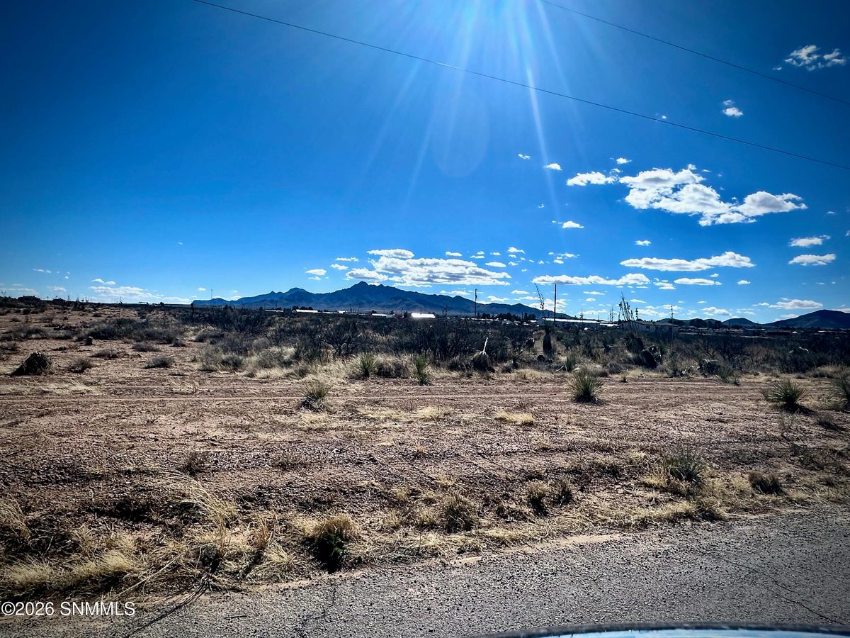 1955 Hot Peppers Road, Chaparral, NM 88081, foto 3