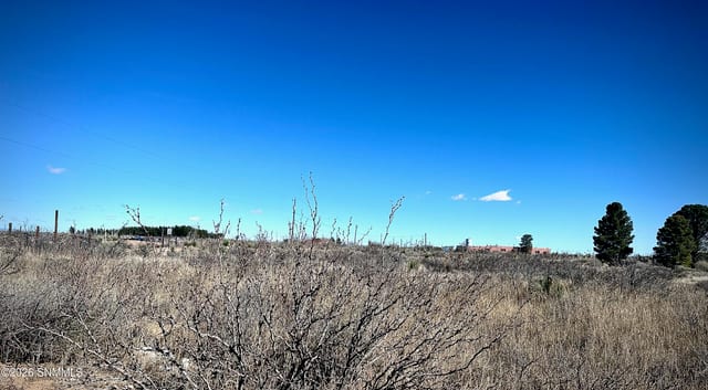 1955 Hot Peppers Road, Chaparral, NM 88081, foto 5