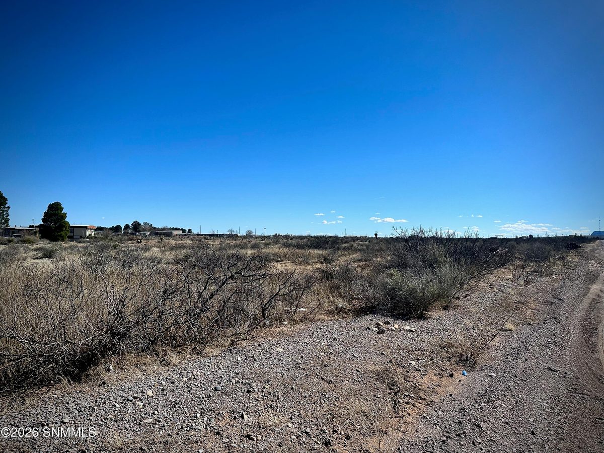 1955 Hot Peppers Road, Chaparral, NM 88081, foto 6