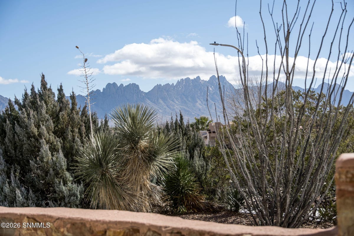 4250 Salvia Loop, Las Cruces, NM 88011 photo 6