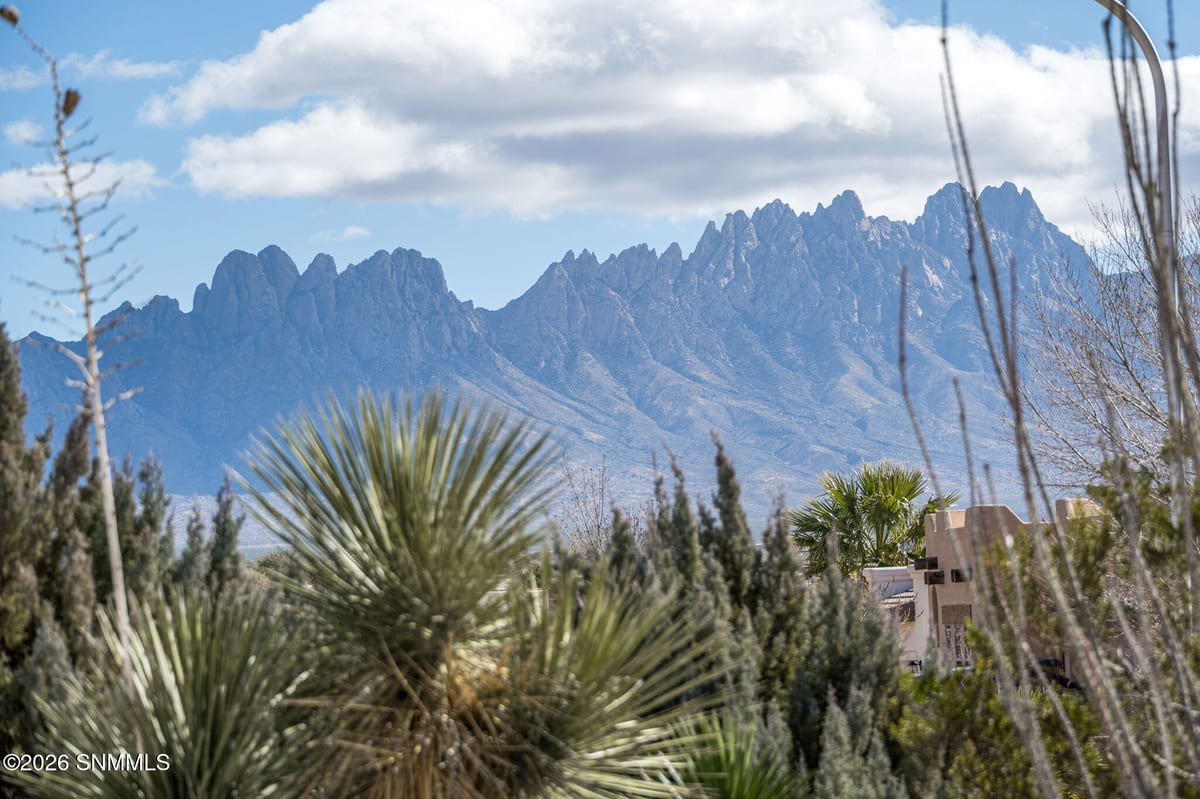 4250 Salvia Loop, Las Cruces, NM 88011 photo 7