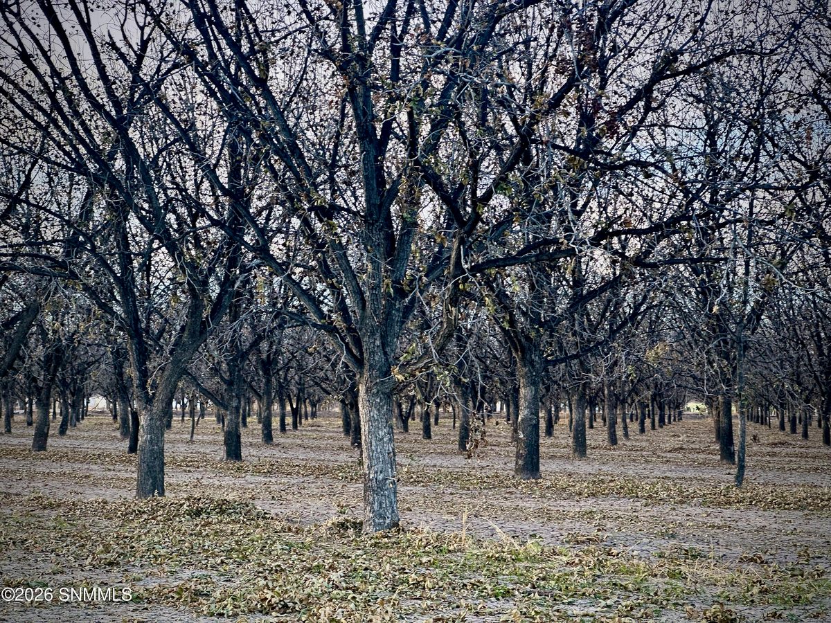 TBA Gillett Road, Anthony, NM 88021, foto 4