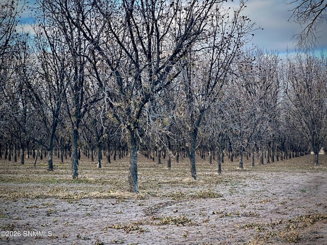 TBA Gillett Road, Anthony, NM 88021, foto 5