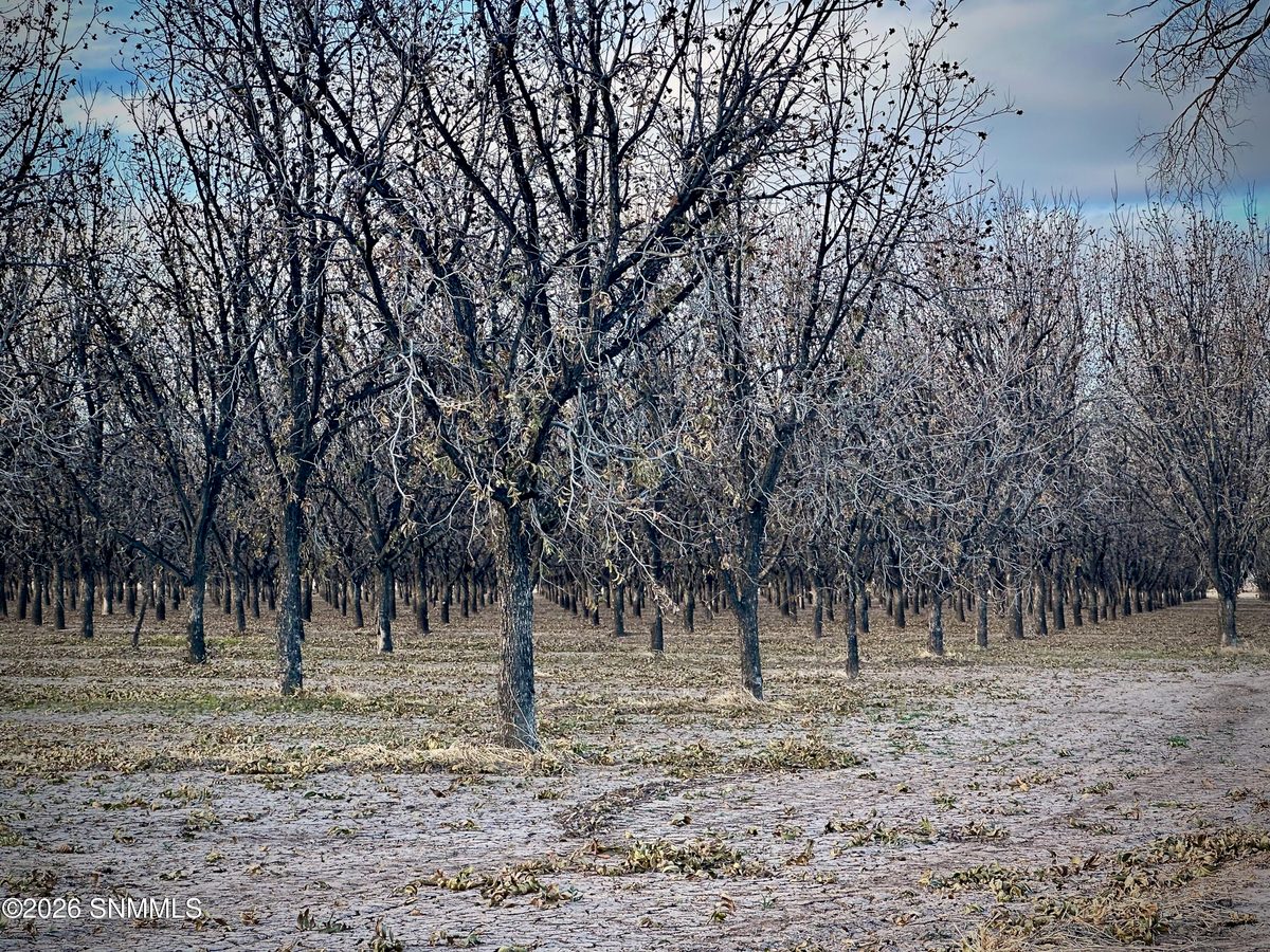 TBA Gillett Road, Anthony, NM 88021, foto 5