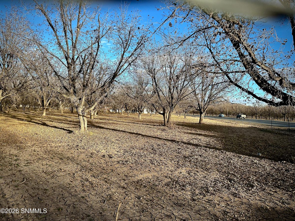 TBA Gillett Road, Anthony, NM 88021, foto 6