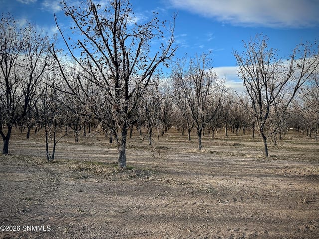 TBA Gillett Road, Anthony, NM farm for sale at $3,430,000