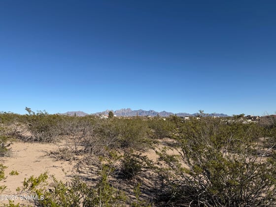 Lot 32A Webb Road, Las Cruces, NM 88001 photo 4