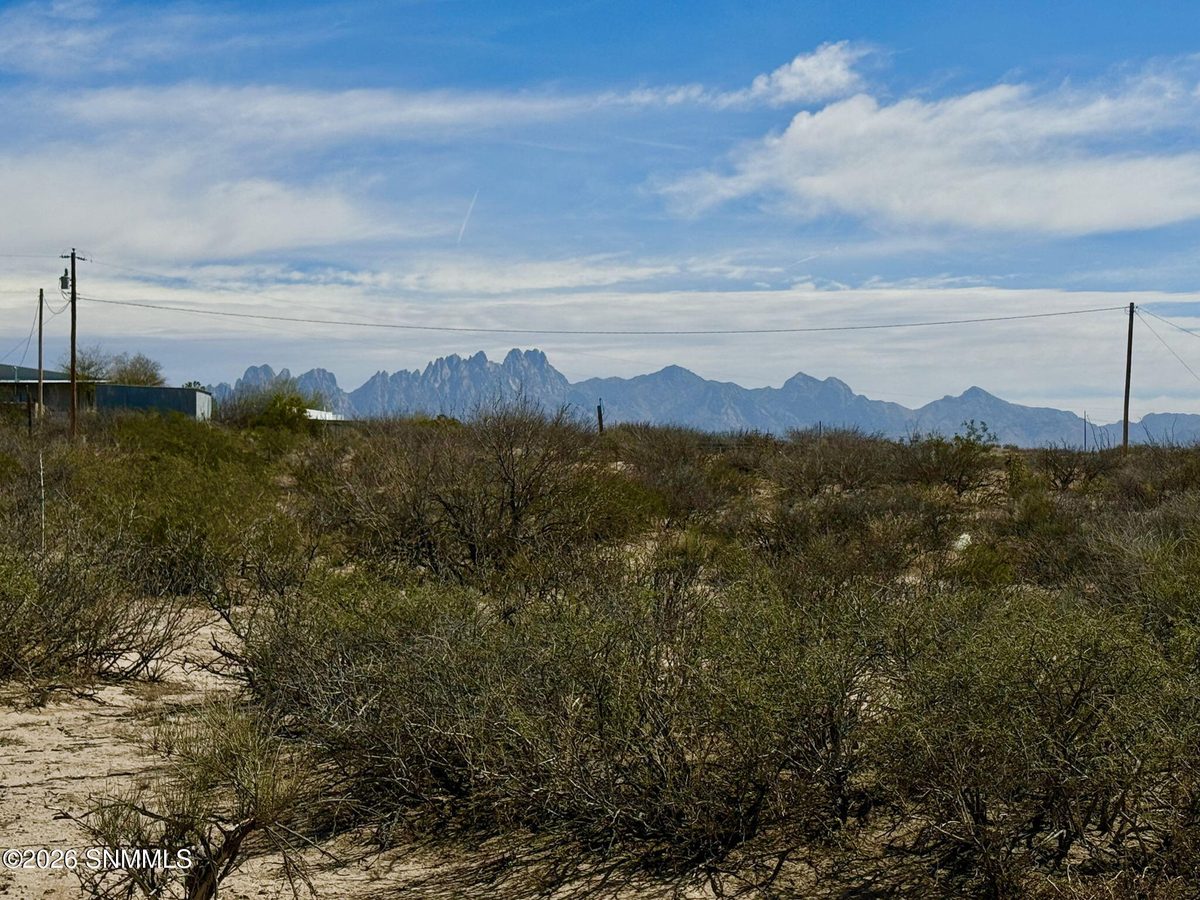 2596 Webb Road, Las Cruces, NM 88012 photo 1