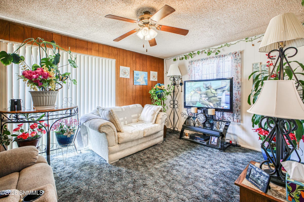 27 Mimbres Yucca Drive, Mimbres, NM 88049, foto 10