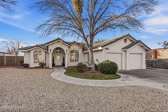 2451 Clearview Drive, Las Cruces, NM 88011 photo 5