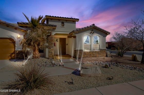 3703 Santa Cecilia Avenue, Las Cruces, NM 88012 photo 2
