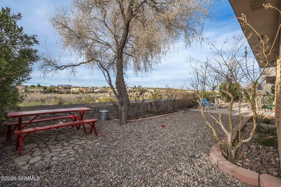 2303 Uranus Avenue, Las Cruces, NM 88012 photo 2
