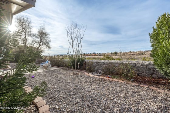 2303 Uranus Avenue, Las Cruces, NM 88012 photo 4