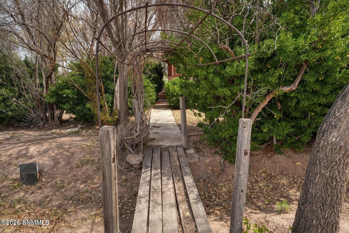 2090 Snow Road, Mesilla, NM 88046 photo 11