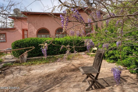 2090 Snow Road, Mesilla, NM 88046 photo 5