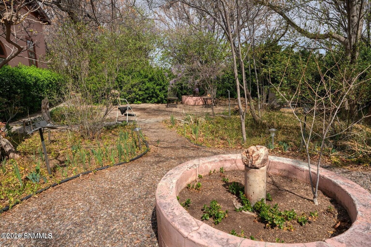 2090 Snow Road, Mesilla, NM 88046 photo 7