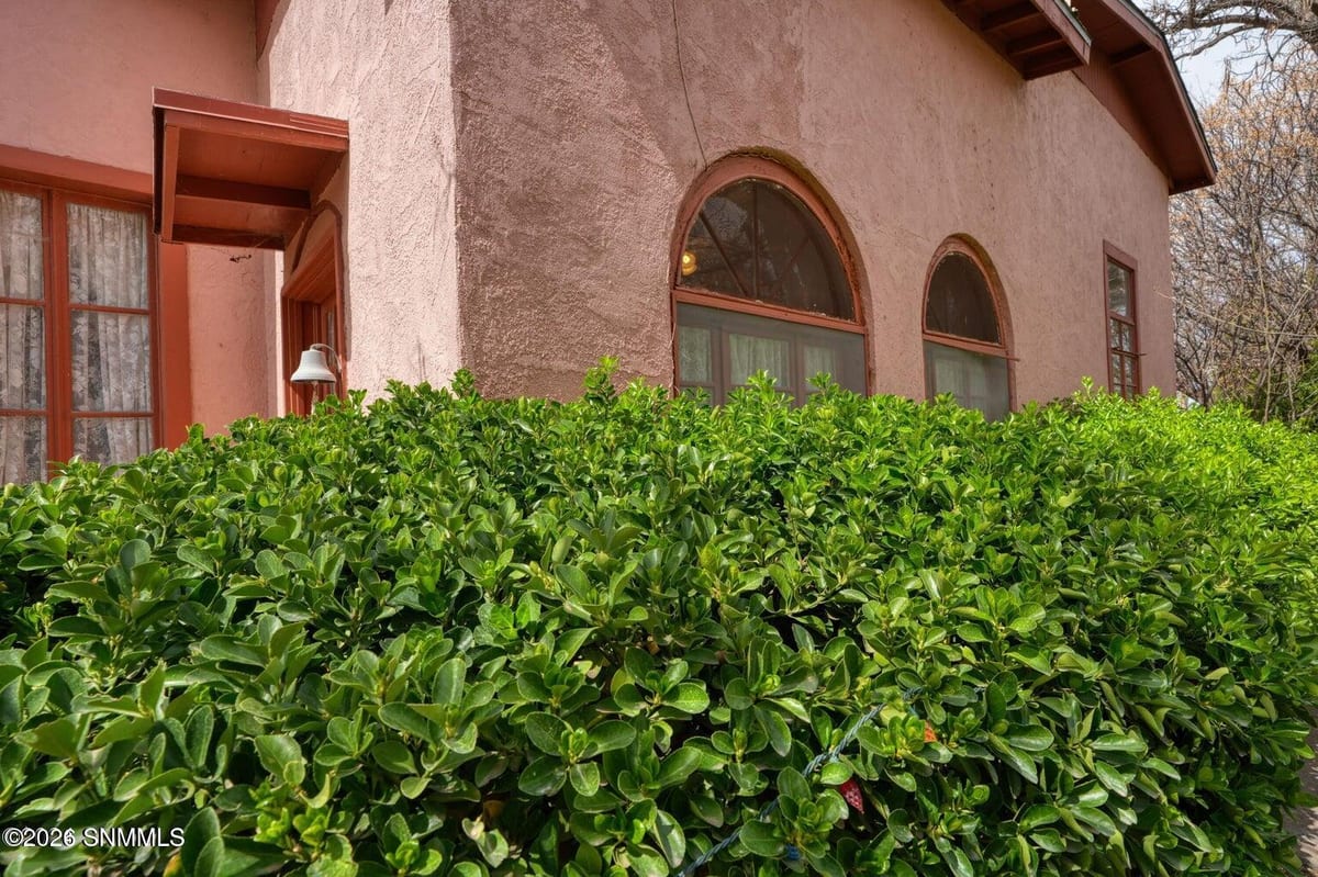 2090 Snow Road, Mesilla, NM 88046 photo 8