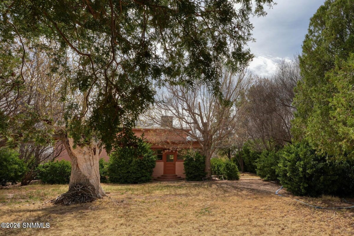 2090 Snow Road, Mesilla, NM 88046 photo 9