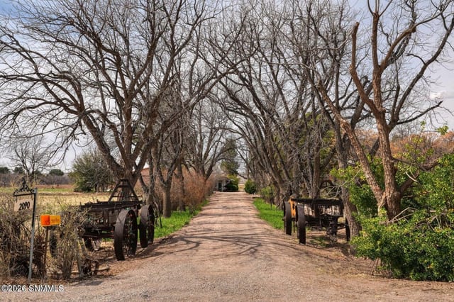2090 Snow Road, Mesilla, NM – 6 bedroom, 3,656 sqft single family residence for sale at $895,000