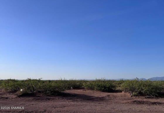 7695 Kings Road, Las Cruces, NM 88012 photo 2
