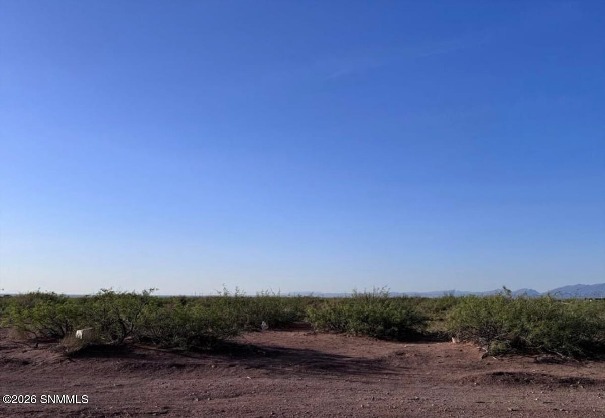 7695 Kings Road, Las Cruces, NM 88012, foto 2