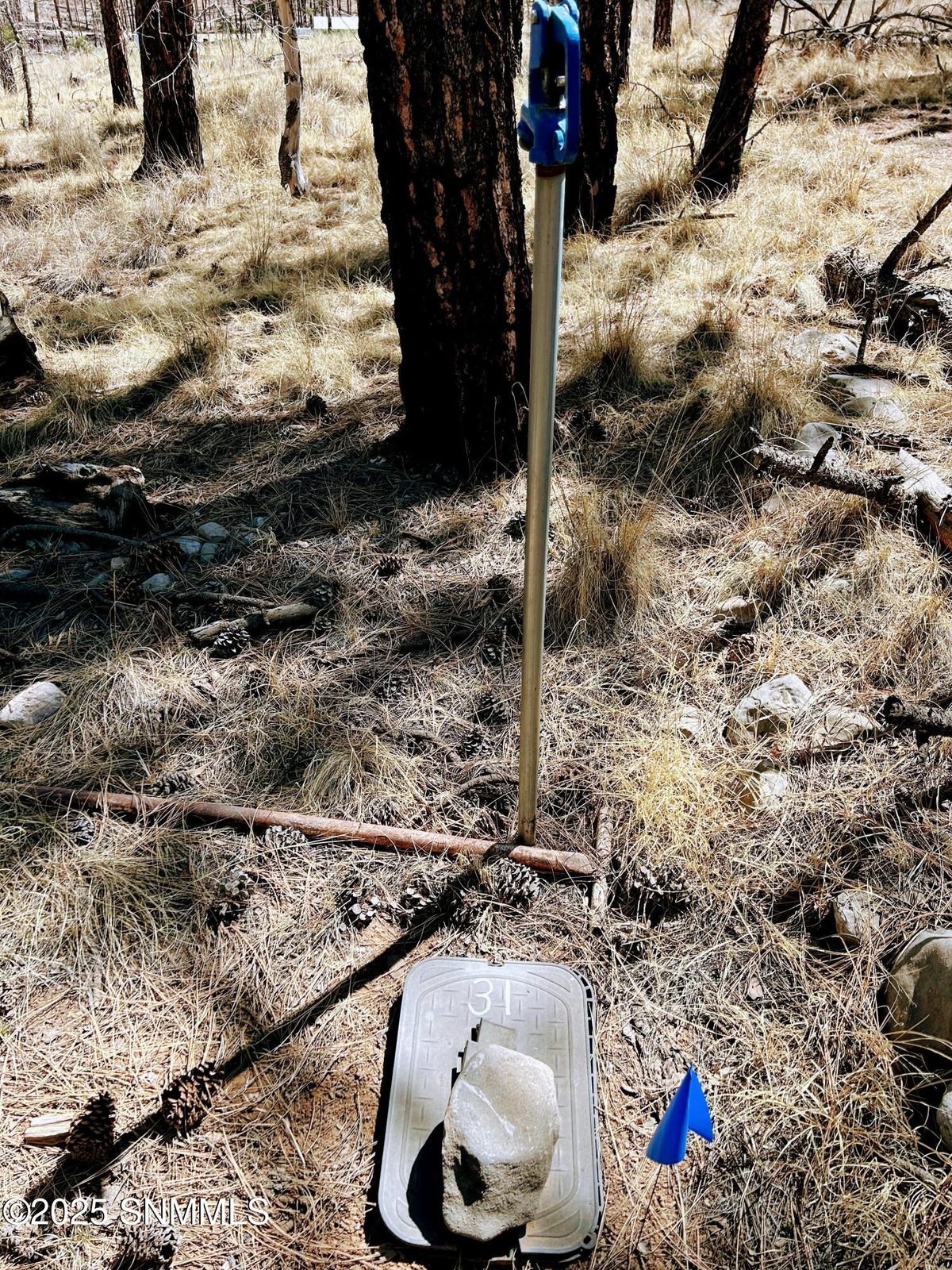 31 Bahamas Drive, Cloudcroft, NM 88317, foto 5