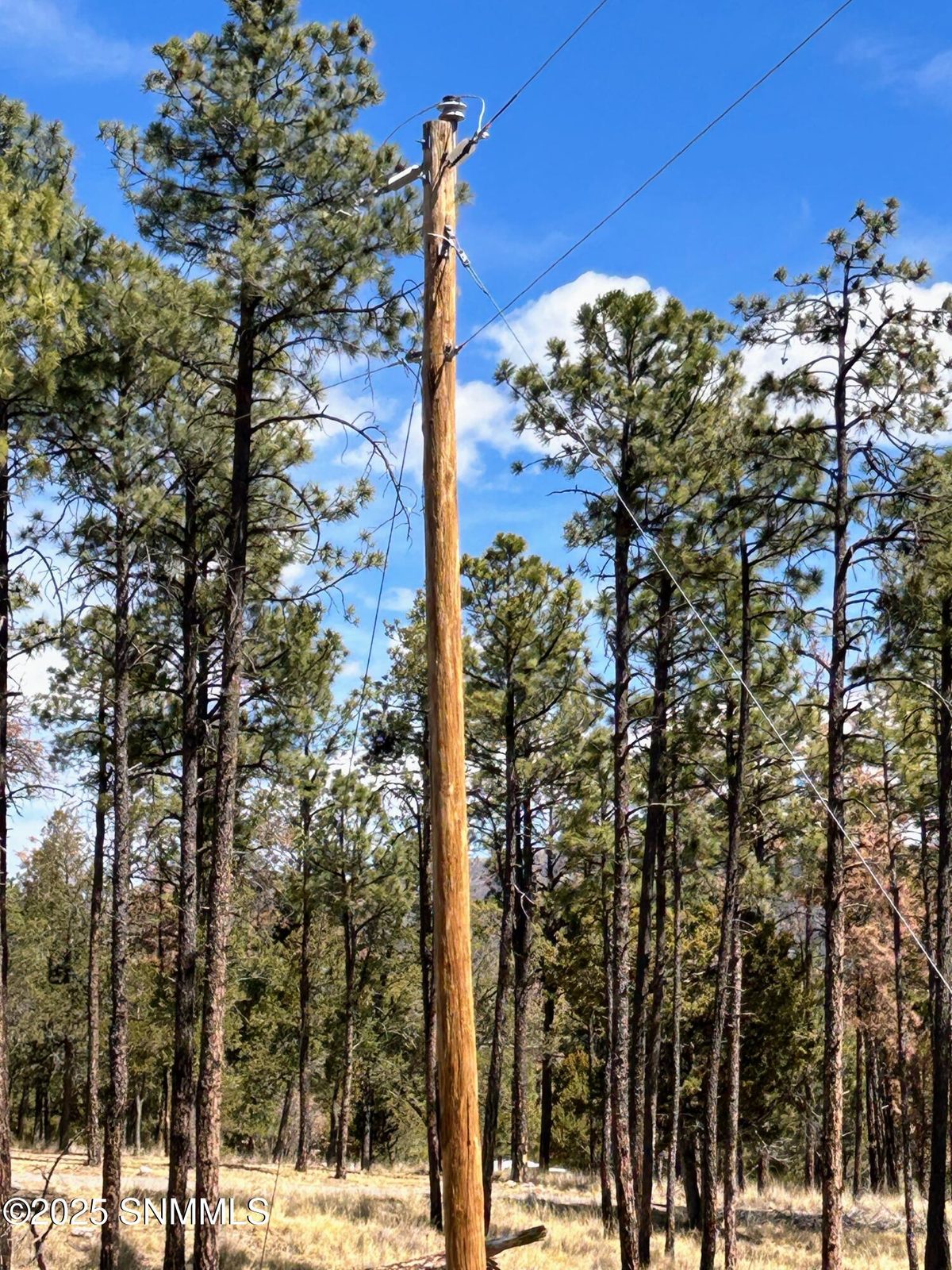31 Bahamas Drive, Cloudcroft, NM 88317, foto 6