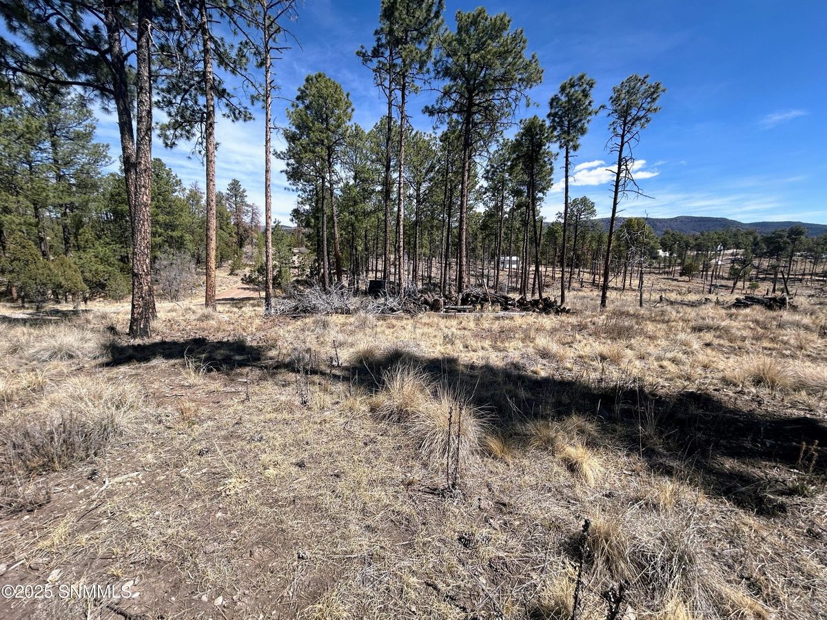 31 Bahamas Drive, Cloudcroft, NM 88317, foto 8