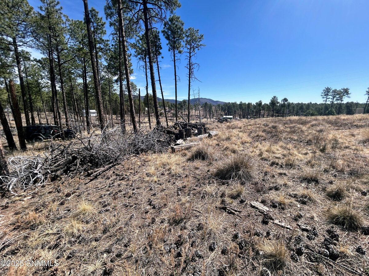 31 Bahamas Drive, Cloudcroft, NM 88317, foto 9
