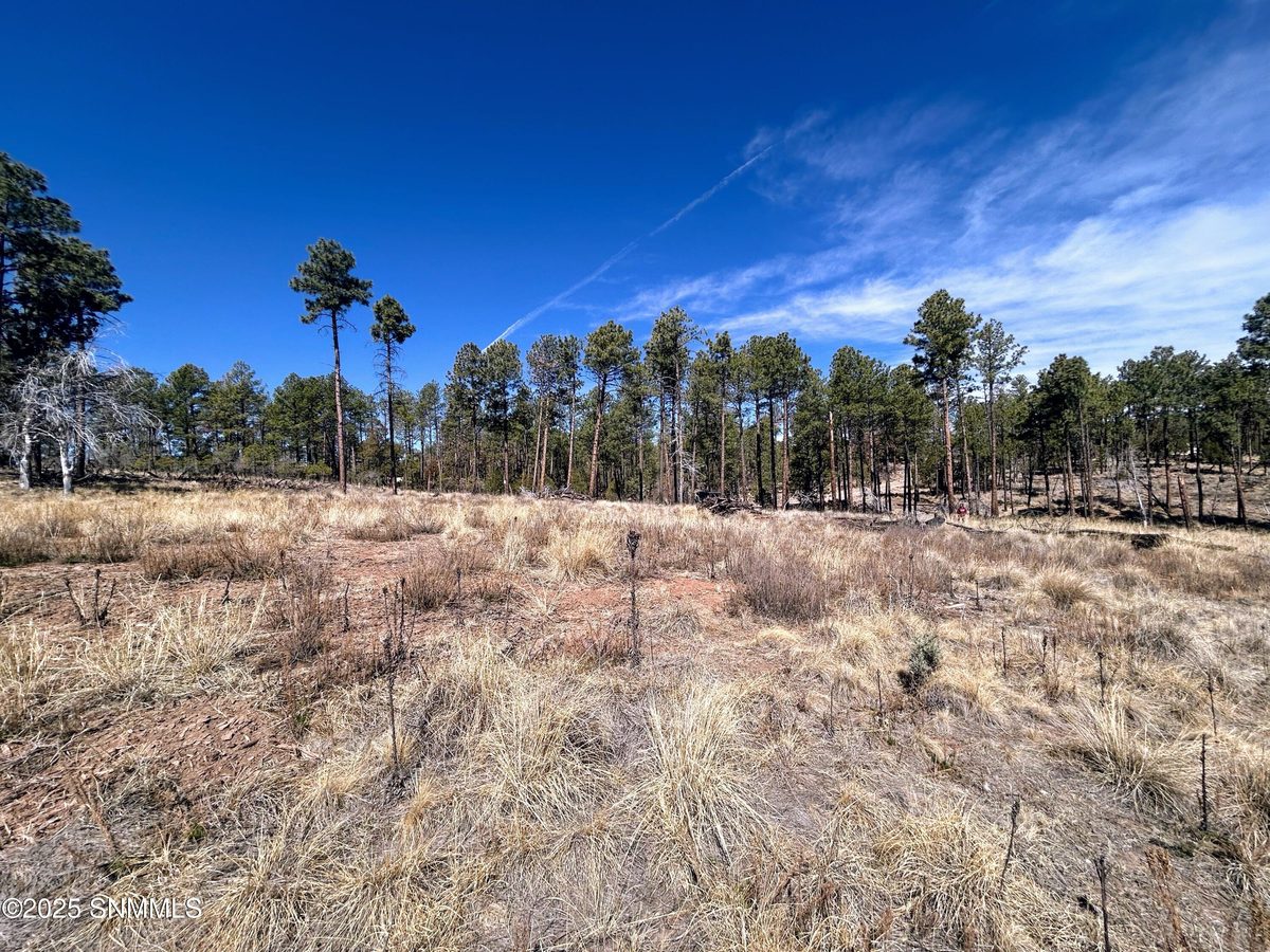 31 Bahamas Drive, Cloudcroft, NM 88317, foto 10