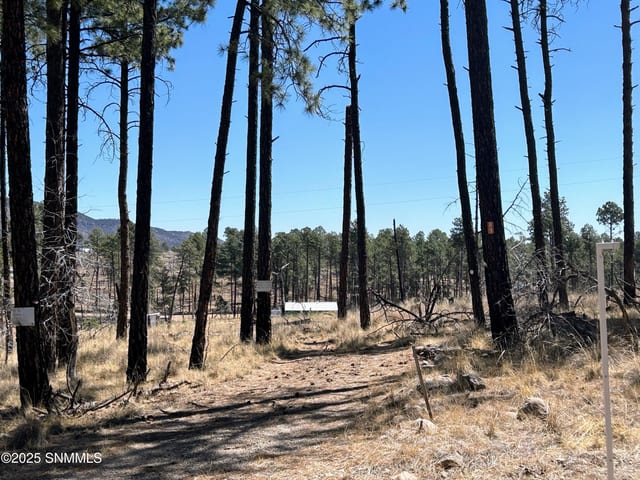 31 Bahamas Drive, Cloudcroft, NM vacant land/acreage for sale at $35,000