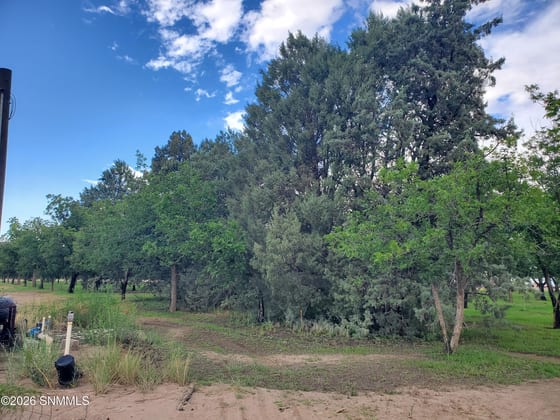 3610 Sparrow Road, Las Cruces, NM 88007 photo 2