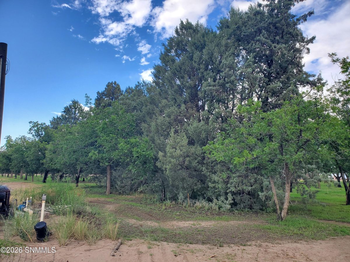 3610 Sparrow Road, Las Cruces, NM 88007 photo 2