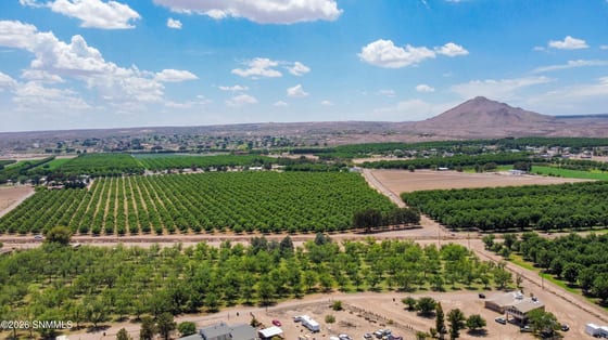 3610 Sparrow Road, Las Cruces, NM 88007 photo 3