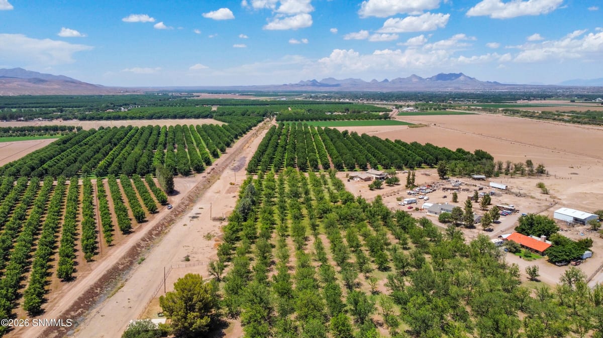 3610 Sparrow Road, Las Cruces, NM 88007 photo 8