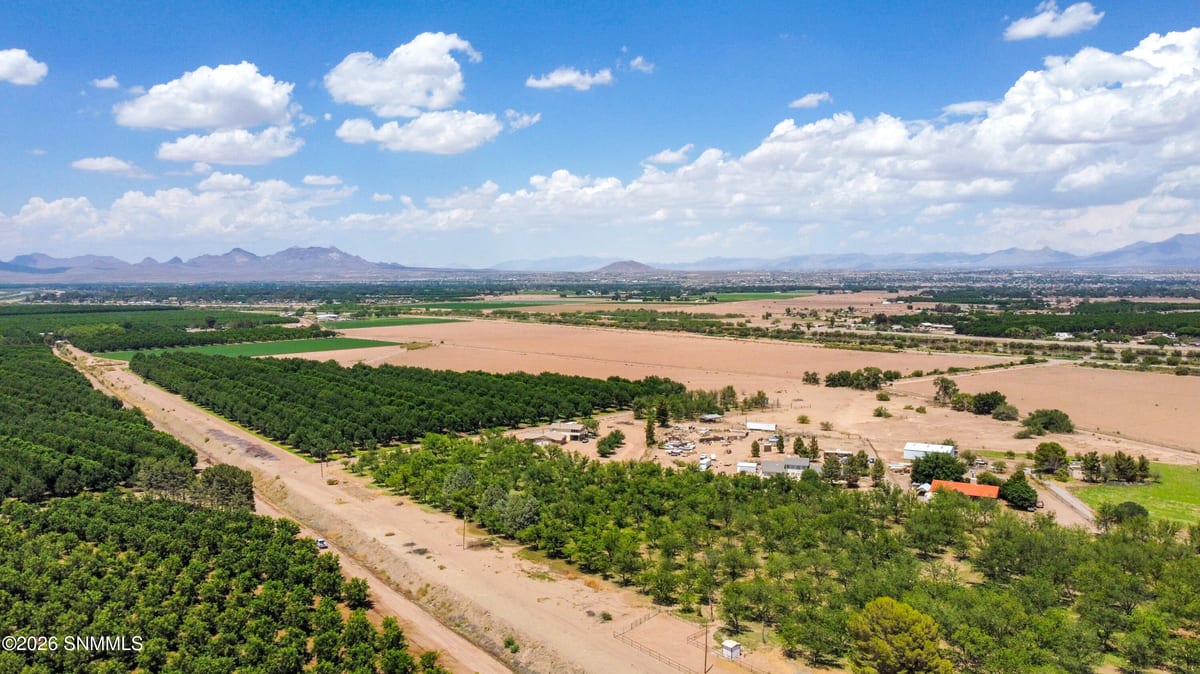 3610 Sparrow Road, Las Cruces, NM 88007 photo 10