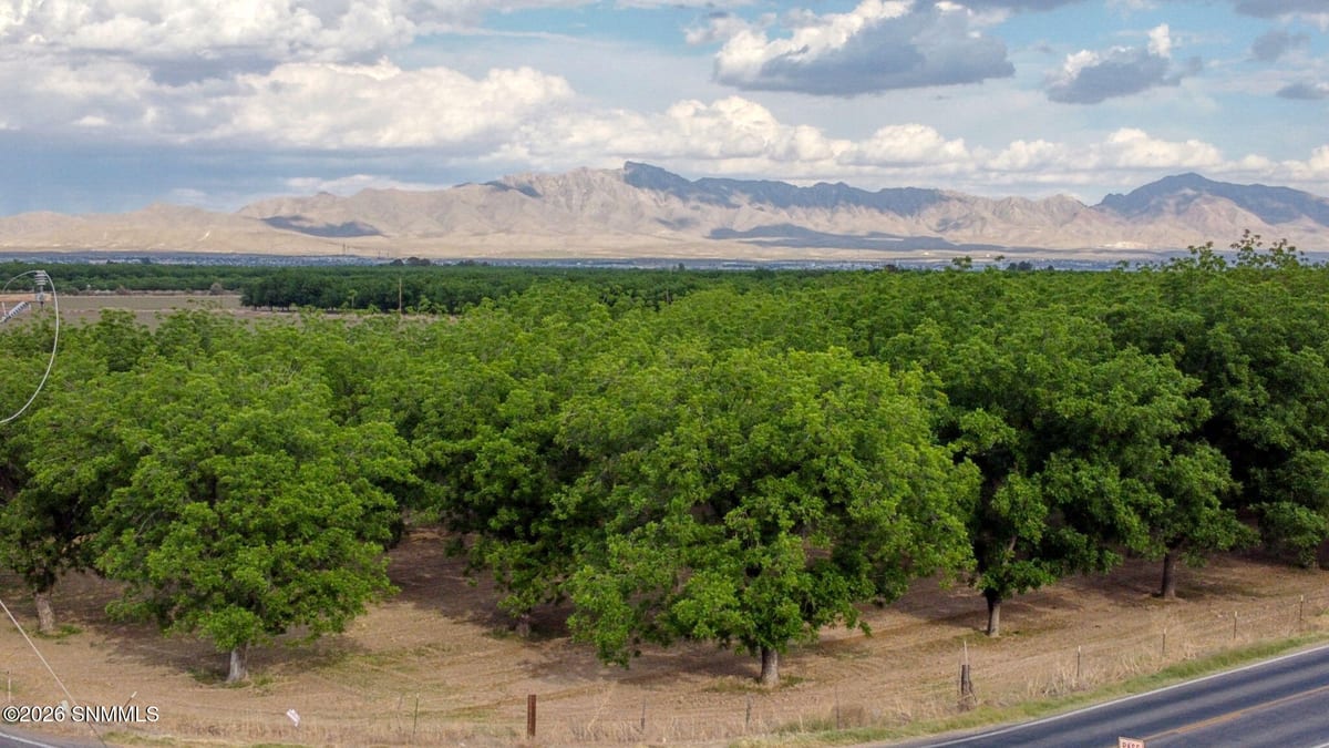 3035 W Ohara Road, Anthony, NM 88021, foto 13