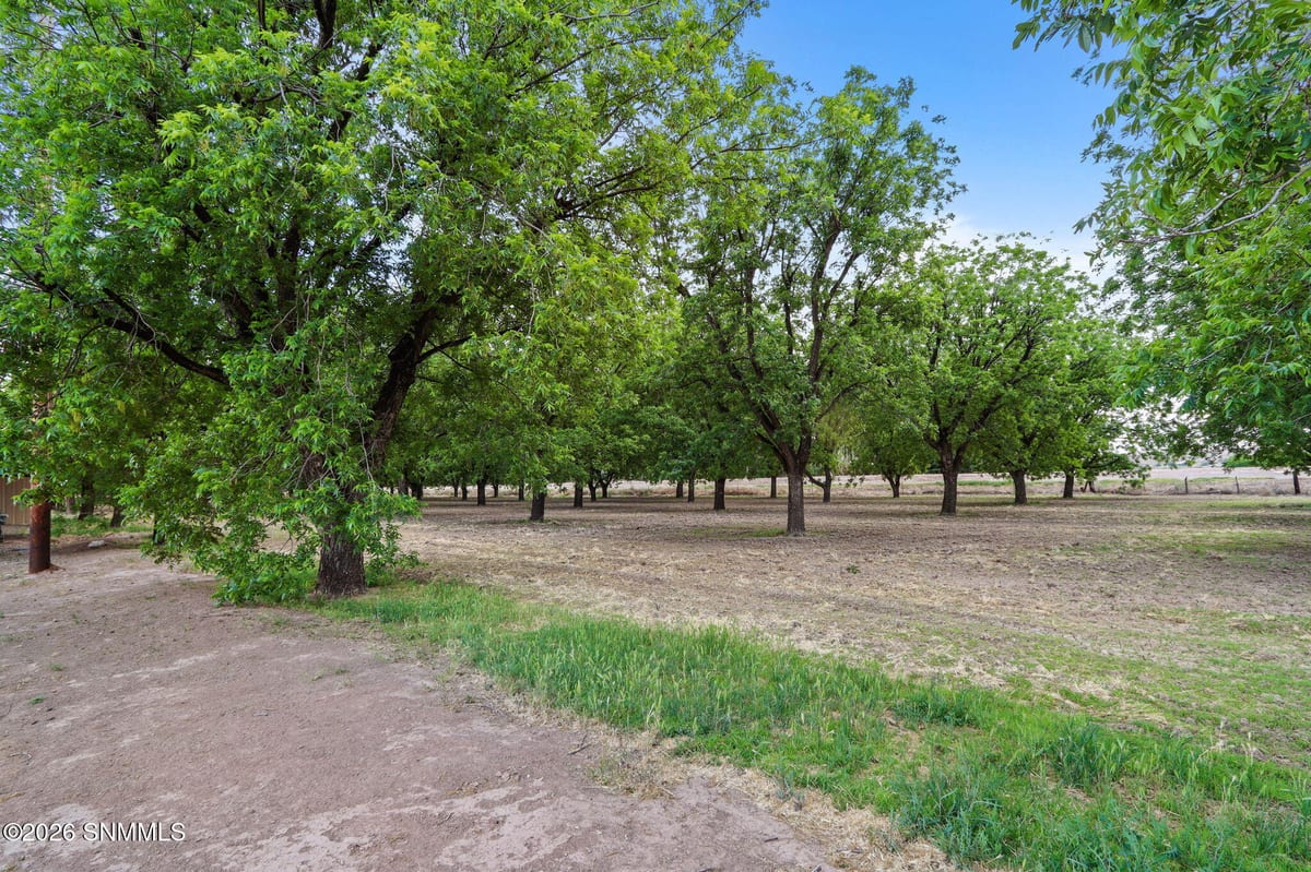 3035 W Ohara Road, Anthony, NM 88021, foto 14