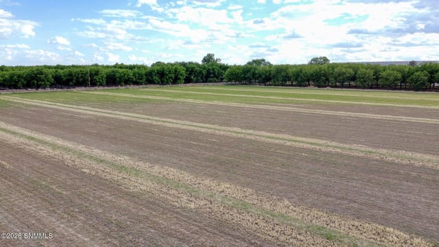3035 W Ohara Road, Anthony, NM 88021, foto 4