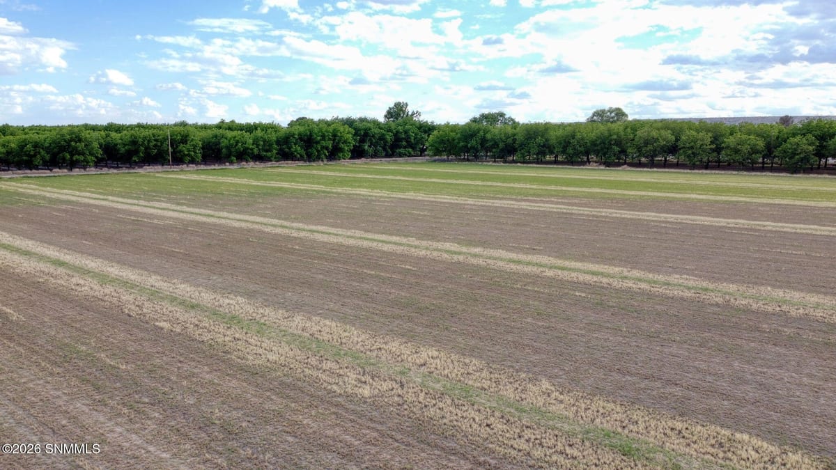 3035 W Ohara Road, Anthony, NM 88021, foto 4