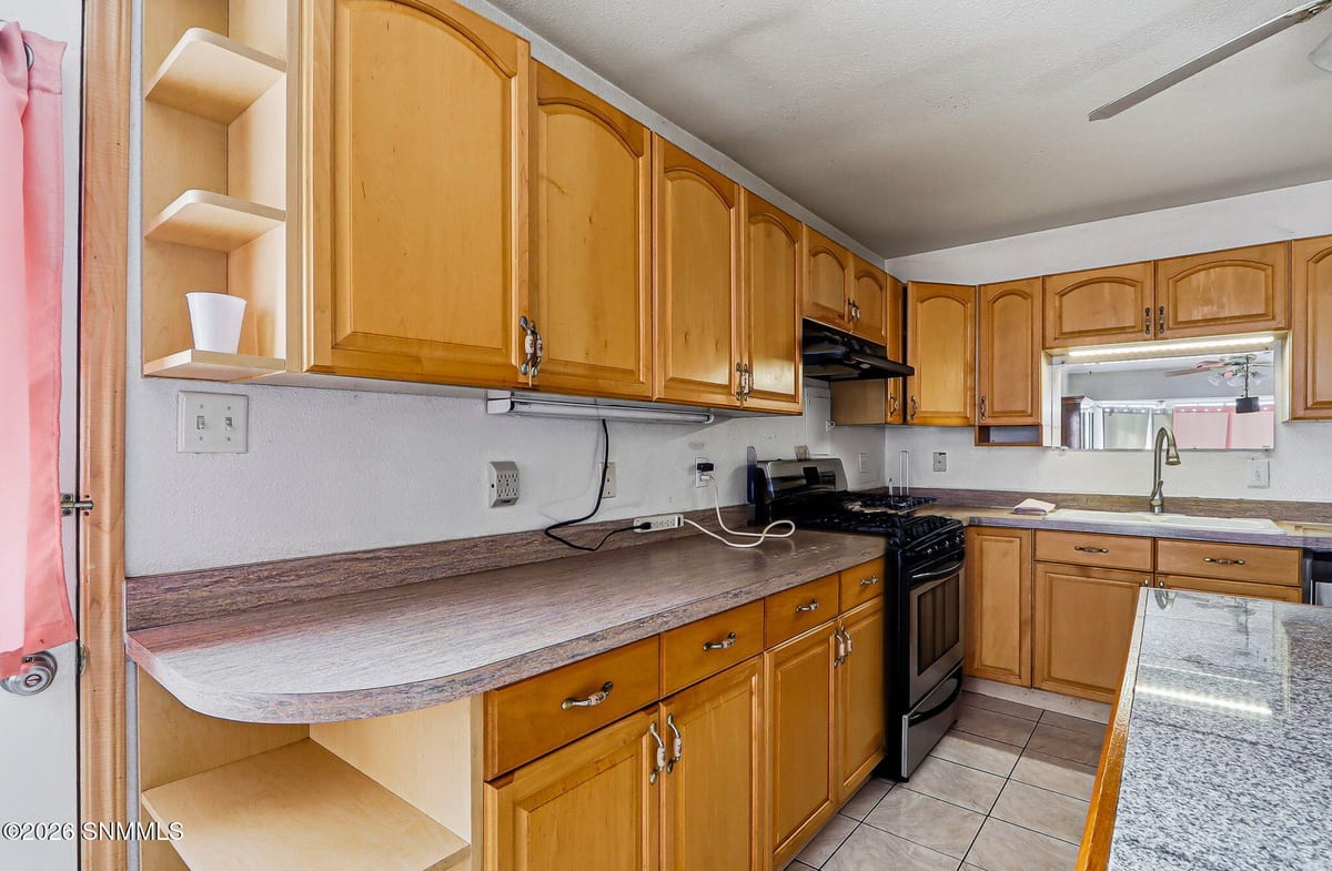 921-2 Lister Drive, La Mesa, NM 88044, foto 15