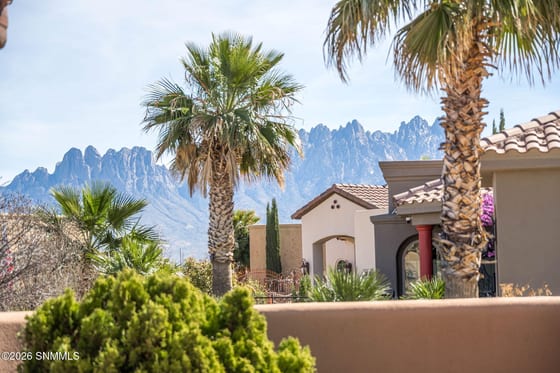 4280 Venetian Loop, Las Cruces, NM 88011 photo 3