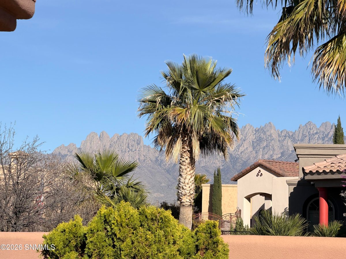 4280 Venetian Loop, Las Cruces, NM 88011 photo 8