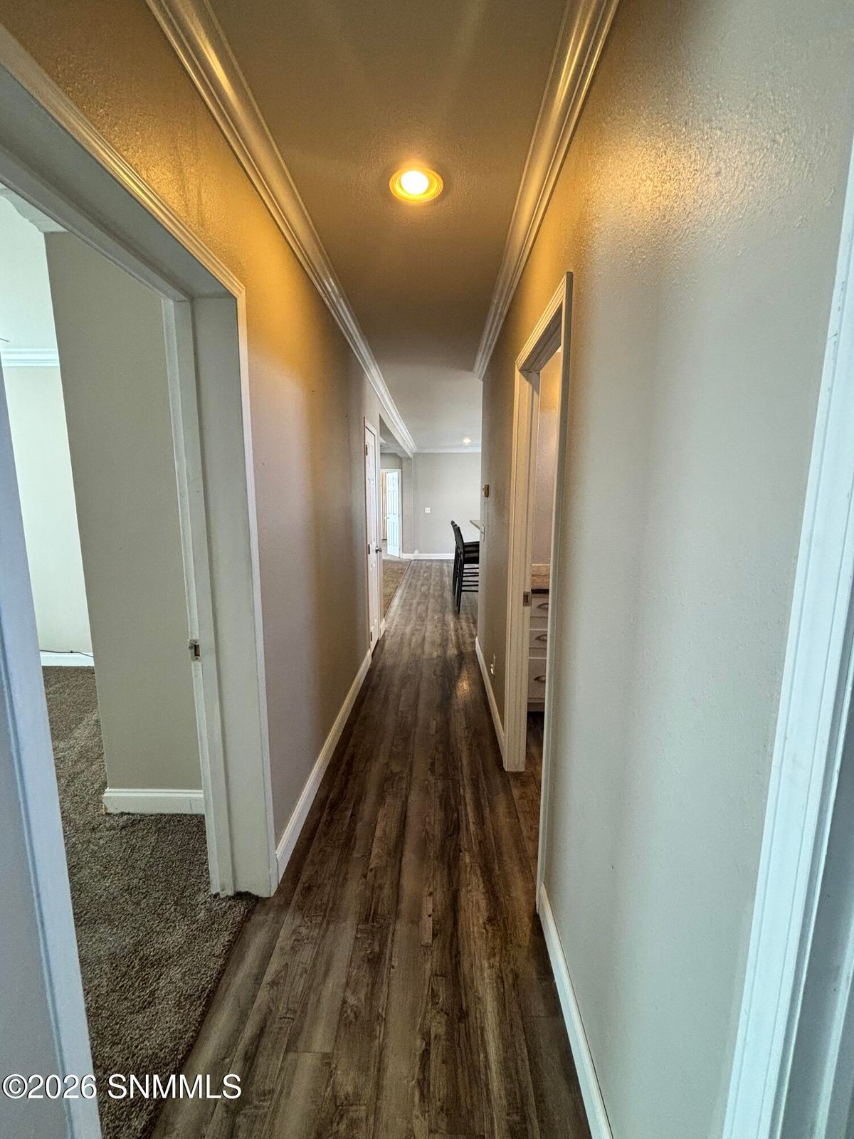 1106 N Tornillo Street, Las Cruces, NM 88001 photo 13