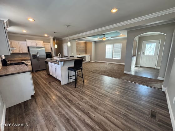 1106 N Tornillo Street, Las Cruces, NM 88001 photo 5