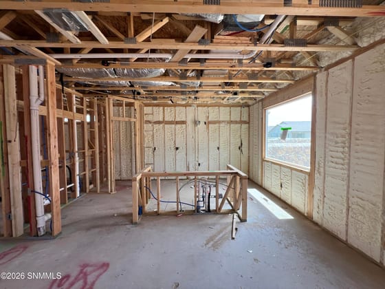 124 Monteine Trail, Sunland Park, NM 88008 photo 4