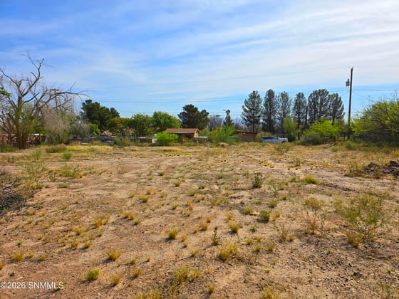 702 Motor Lane, Las Cruces, NM 88007 photo 2