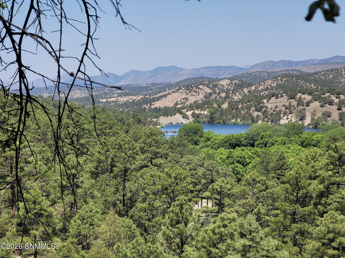 18 Edwards Place, Mimbres, NM 88049, foto 6