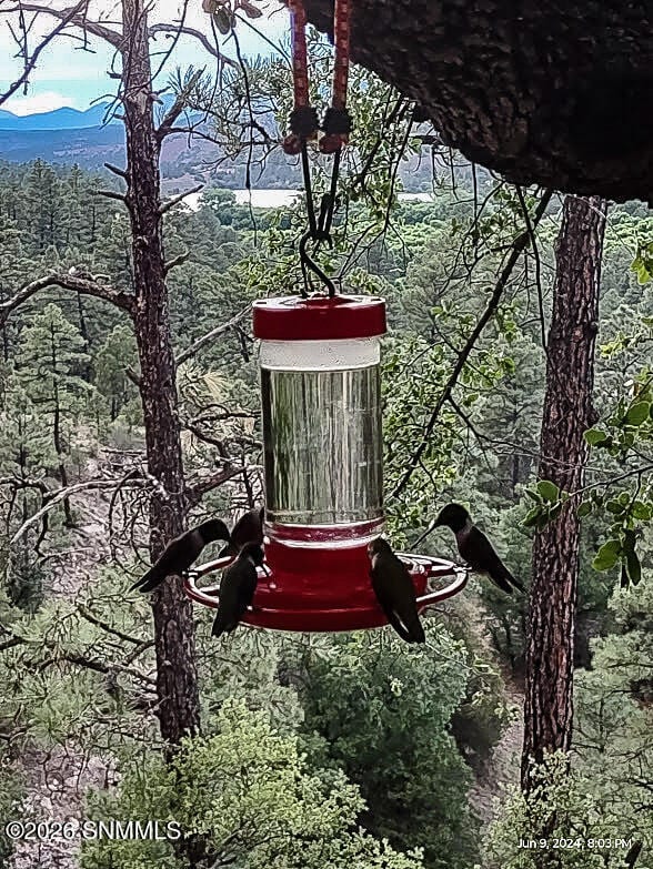 18 Edwards Place, Mimbres, NM 88049, foto 7